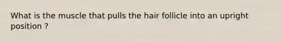 What is the muscle that pulls the hair follicle into an upright position ?