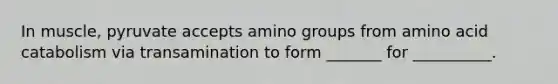 In muscle, pyruvate accepts amino groups from amino acid catabolism via transamination to form _______ for __________.