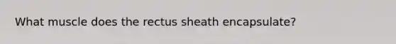 What muscle does the rectus sheath encapsulate?