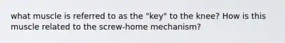 what muscle is referred to as the "key" to the knee? How is this muscle related to the screw-home mechanism?