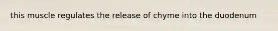 this muscle regulates the release of chyme into the duodenum