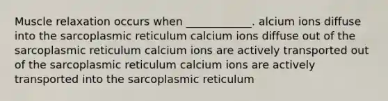 Muscle relaxation occurs when ____________. alcium ions diffuse into the sarcoplasmic reticulum calcium ions diffuse out of the sarcoplasmic reticulum calcium ions are actively transported out of the sarcoplasmic reticulum calcium ions are actively transported into the sarcoplasmic reticulum