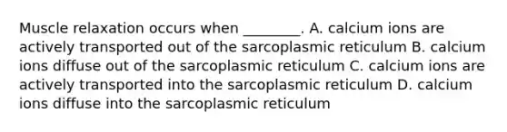 Muscle relaxation occurs when ________. A. calcium ions are actively transported out of the sarcoplasmic reticulum B. calcium ions diffuse out of the sarcoplasmic reticulum C. calcium ions are actively transported into the sarcoplasmic reticulum D. calcium ions diffuse into the sarcoplasmic reticulum