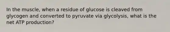 In the muscle, when a residue of glucose is cleaved from glycogen and converted to pyruvate via glycolysis, what is the net ATP production?