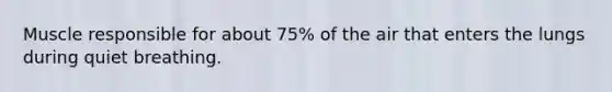 Muscle responsible for about 75% of the air that enters the lungs during quiet breathing.