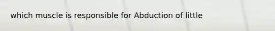 which muscle is responsible for Abduction of little