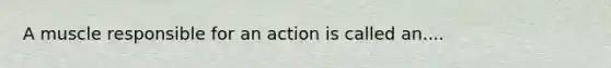 A muscle responsible for an action is called an....