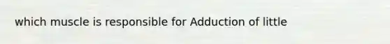 which muscle is responsible for Adduction of little