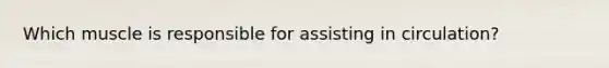 Which muscle is responsible for assisting in circulation?
