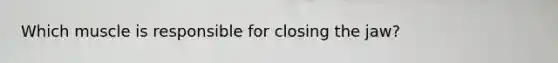 Which muscle is responsible for closing the jaw?