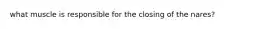 what muscle is responsible for the closing of the nares?