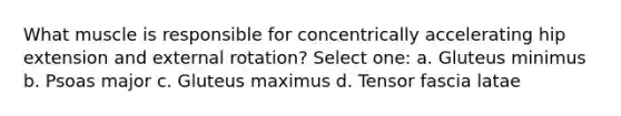 What muscle is responsible for concentrically accelerating hip extension and external rotation? Select one: a. Gluteus minimus b. Psoas major c. Gluteus maximus d. Tensor fascia latae