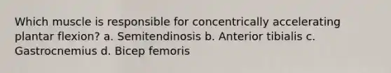 Which muscle is responsible for concentrically accelerating plantar flexion? a. Semitendinosis b. Anterior tibialis c. Gastrocnemius d. Bicep femoris