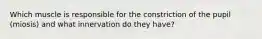Which muscle is responsible for the constriction of the pupil (miosis) and what innervation do they have?
