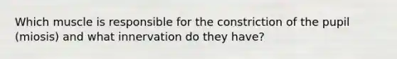 Which muscle is responsible for the constriction of the pupil (miosis) and what innervation do they have?