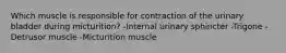 Which muscle is responsible for contraction of the urinary bladder during micturition? -Internal urinary sphincter -Trigone -Detrusor muscle -Micturition muscle