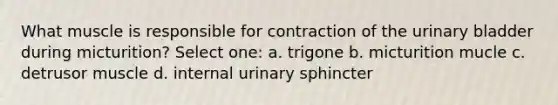 What muscle is responsible for contraction of the <a href='https://www.questionai.com/knowledge/kb9SdfFdD9-urinary-bladder' class='anchor-knowledge'>urinary bladder</a> during micturition? Select one: a. trigone b. micturition mucle c. detrusor muscle d. internal urinary sphincter