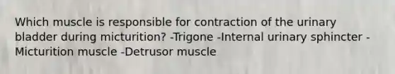 Which muscle is responsible for contraction of the <a href='https://www.questionai.com/knowledge/kb9SdfFdD9-urinary-bladder' class='anchor-knowledge'>urinary bladder</a> during micturition? -Trigone -Internal urinary sphincter -Micturition muscle -Detrusor muscle