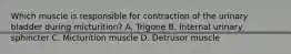 Which muscle is responsible for contraction of the urinary bladder during micturition? A. Trigone B. Internal urinary sphincter C. Micturition muscle D. Detrusor muscle