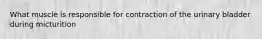 What muscle is responsible for contraction of the urinary bladder during micturition