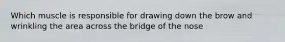 Which muscle is responsible for drawing down the brow and wrinkling the area across the bridge of the nose