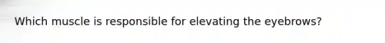 Which muscle is responsible for elevating the eyebrows?