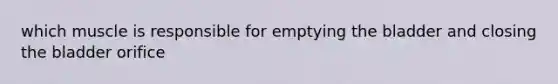 which muscle is responsible for emptying the bladder and closing the bladder orifice