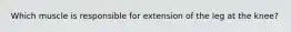 Which muscle is responsible for extension of the leg at the knee?
