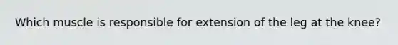 Which muscle is responsible for extension of the leg at the knee?