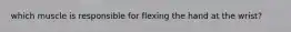 which muscle is responsible for flexing the hand at the wrist?