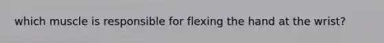 which muscle is responsible for flexing the hand at the wrist?