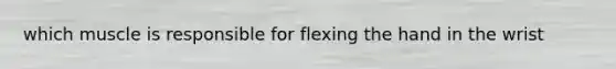 which muscle is responsible for flexing the hand in the wrist