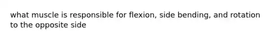 what muscle is responsible for flexion, side bending, and rotation to the opposite side