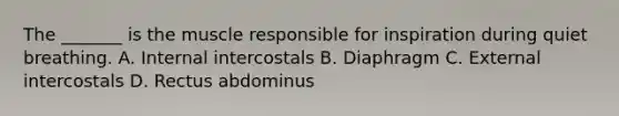 The _______ is the muscle responsible for inspiration during quiet breathing. A. Internal intercostals B. Diaphragm C. External intercostals D. Rectus abdominus