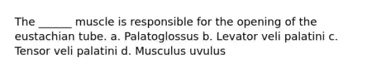 The ______ muscle is responsible for the opening of the eustachian tube. a. Palatoglossus b. Levator veli palatini c. Tensor veli palatini d. Musculus uvulus