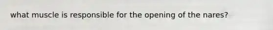 what muscle is responsible for the opening of the nares?