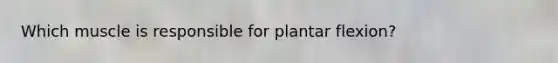 Which muscle is responsible for plantar flexion?