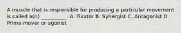 A muscle that is responsible for producing a particular movement is called a(n) __________. A. Fixator B. Synergist C. Antagonist D. Prime mover or agonist