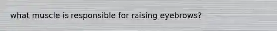 what muscle is responsible for raising eyebrows?