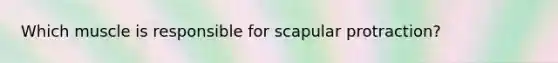 Which muscle is responsible for scapular protraction?