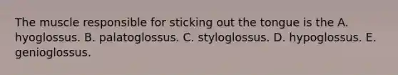 The muscle responsible for sticking out the tongue is the A. hyoglossus. B. palatoglossus. C. styloglossus. D. hypoglossus. E. genioglossus.