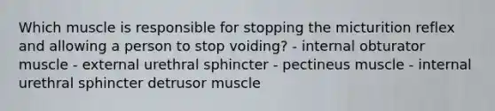 Which muscle is responsible for stopping the micturition reflex and allowing a person to stop voiding? - internal obturator muscle - external urethral sphincter - pectineus muscle - internal urethral sphincter detrusor muscle