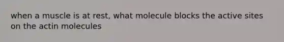 when a muscle is at rest, what molecule blocks the active sites on the actin molecules