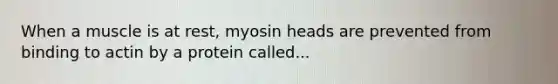 When a muscle is at rest, myosin heads are prevented from binding to actin by a protein called...