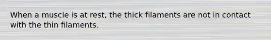 When a muscle is at rest, the thick filaments are not in contact with the thin filaments.