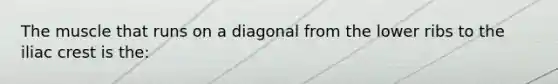 The muscle that runs on a diagonal from the lower ribs to the iliac crest is the: