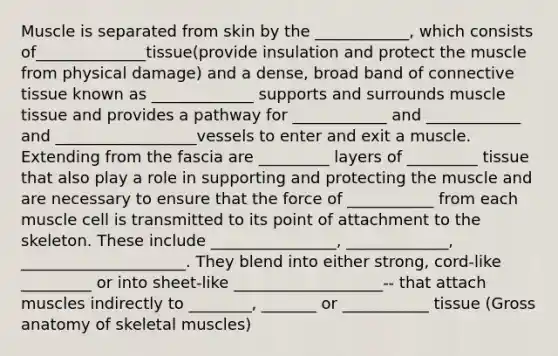 Muscle is separated from skin by the ____________, which consists of______________tissue(provide insulation and protect the muscle from physical damage) and a dense, broad band of connective tissue known as _____________ supports and surrounds muscle tissue and provides a pathway for ____________ and ____________ and __________________vessels to enter and exit a muscle. Extending from the fascia are _________ layers of _________ tissue that also play a role in supporting and protecting the muscle and are necessary to ensure that the force of ___________ from each muscle cell is transmitted to its point of attachment to the skeleton. These include ________________, _____________, _____________________. They blend into either strong, cord-like _________ or into sheet-like ___________________-- that attach muscles indirectly to ________, _______ or ___________ tissue (Gross anatomy of skeletal muscles)