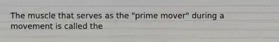 The muscle that serves as the "prime mover" during a movement is called the