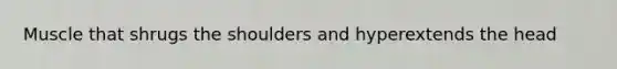 Muscle that shrugs the shoulders and hyperextends the head