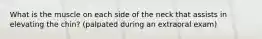 What is the muscle on each side of the neck that assists in elevating the chin? (palpated during an extraoral exam)